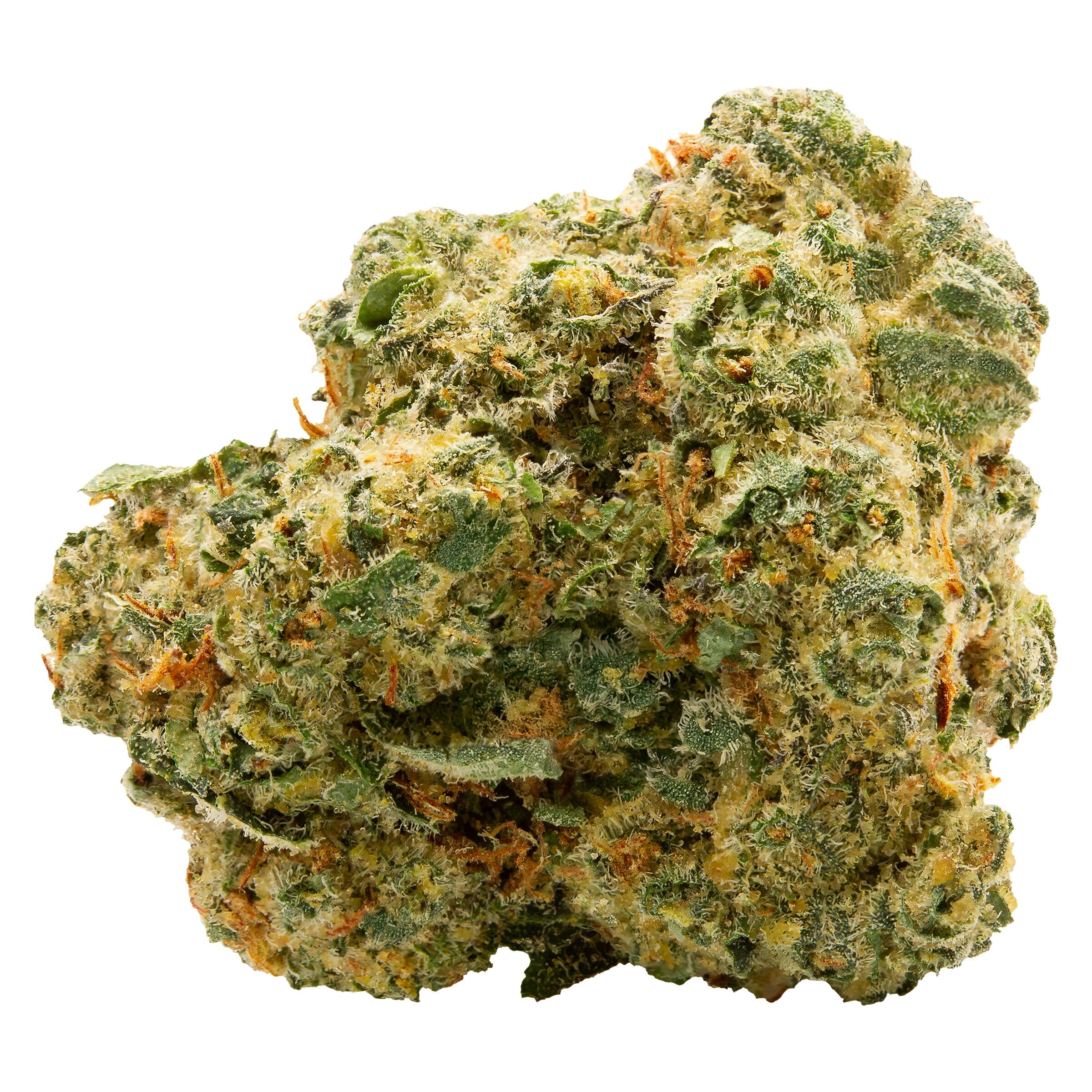 Spinach Blue Thai 28g